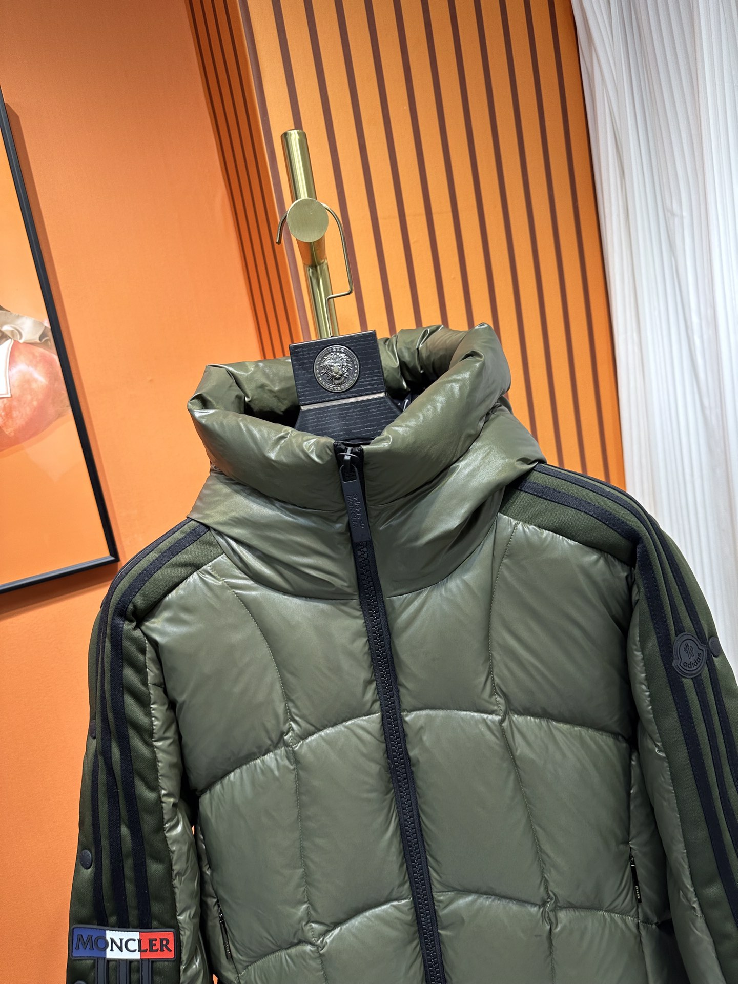 Moncler Down Jackets